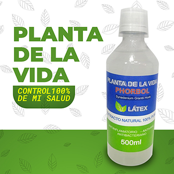 envase-Planta-de-la-vida-post