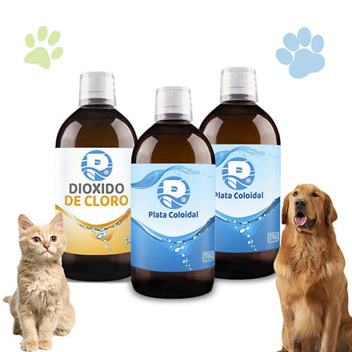 Plata coloidal para perros y gatos